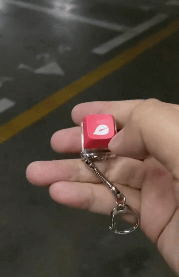 Kabuklu Ceviz   Hemen Sipariş Verin (19)
